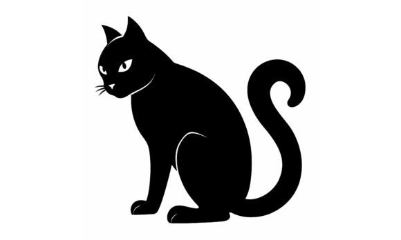 Black Cat Sitting Isolated