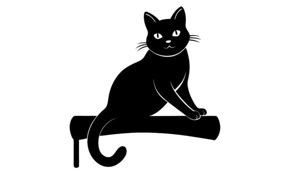 Black Cat Sitting on a Surface