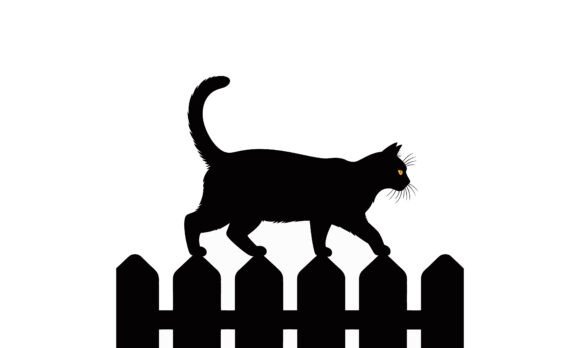 Black Cat Walking on a Picket Fence