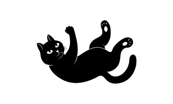 Playful Black Cat Lying on Back