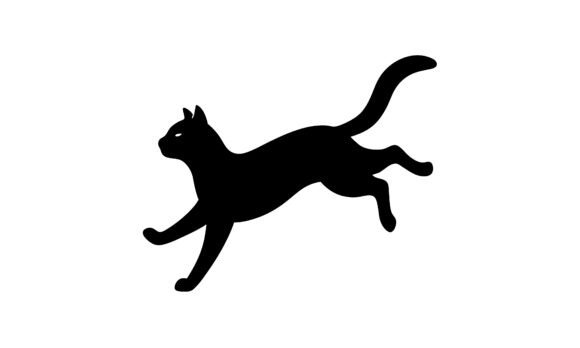 Silhouette of a Jumping Black Cat