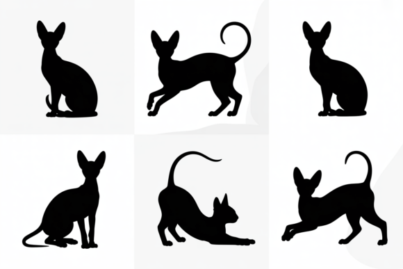 Silhouettes of Graceful Sphynx Cat Poses